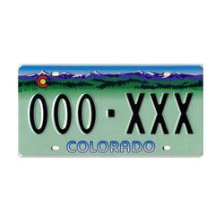 Designer license plate