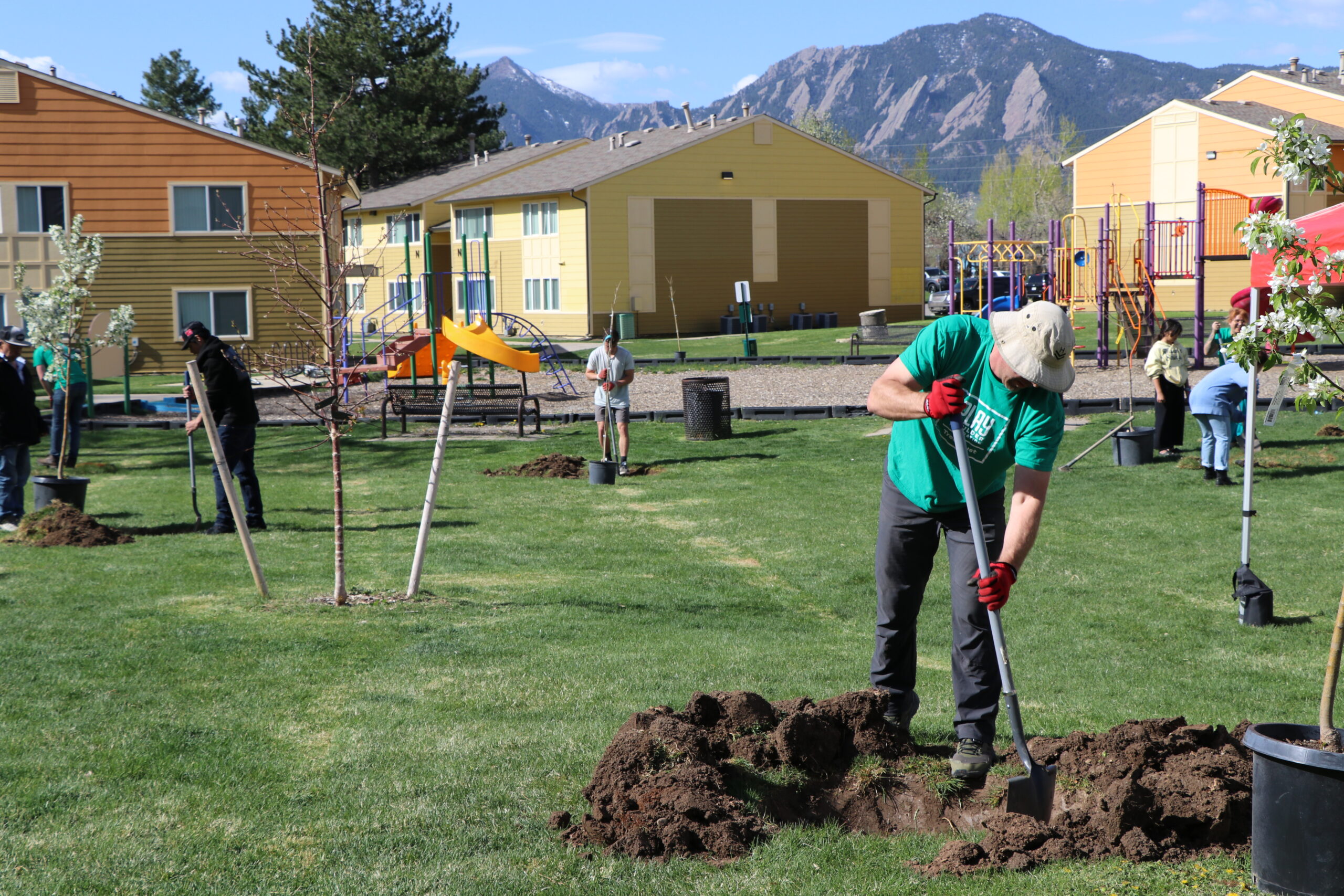 Longmont community invited to request a free tree