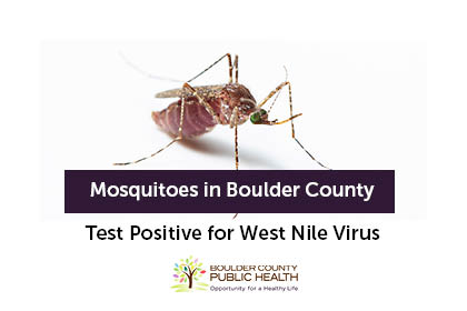 Mosquitoes in Boulder County Test Positive for West Nile Virus