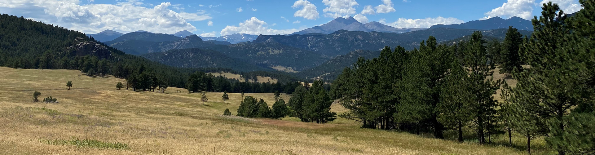 A meadow at Hall Ranch with blue skies, white clouds, and Longs Peak in the background