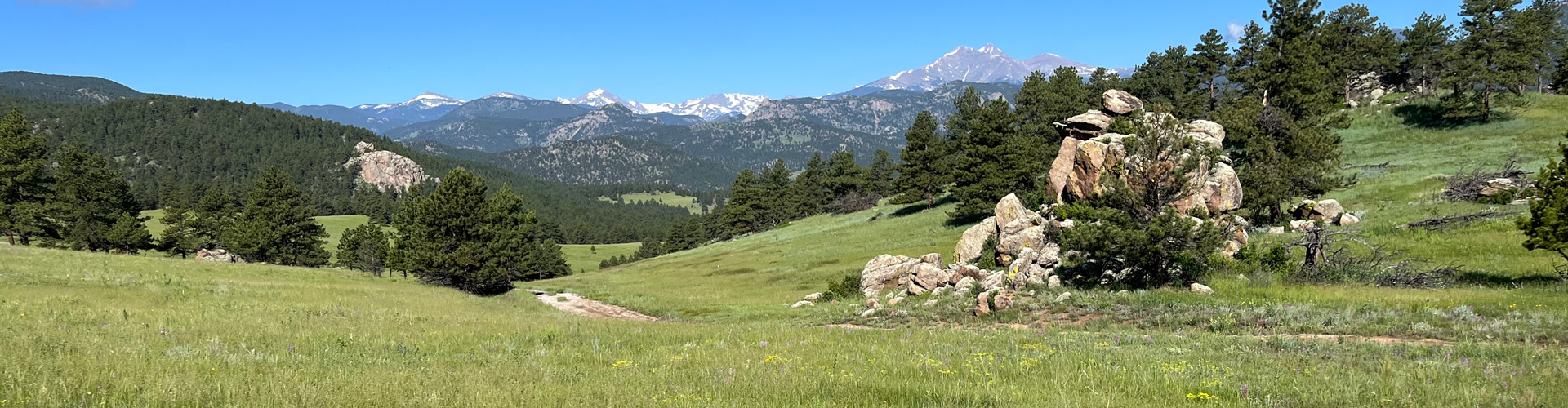A scenic view of a grassy meadow at Hall Ranch, surrounded by pine trees and rocky outcrops. Snow-capped peaks can be seen in the distance.