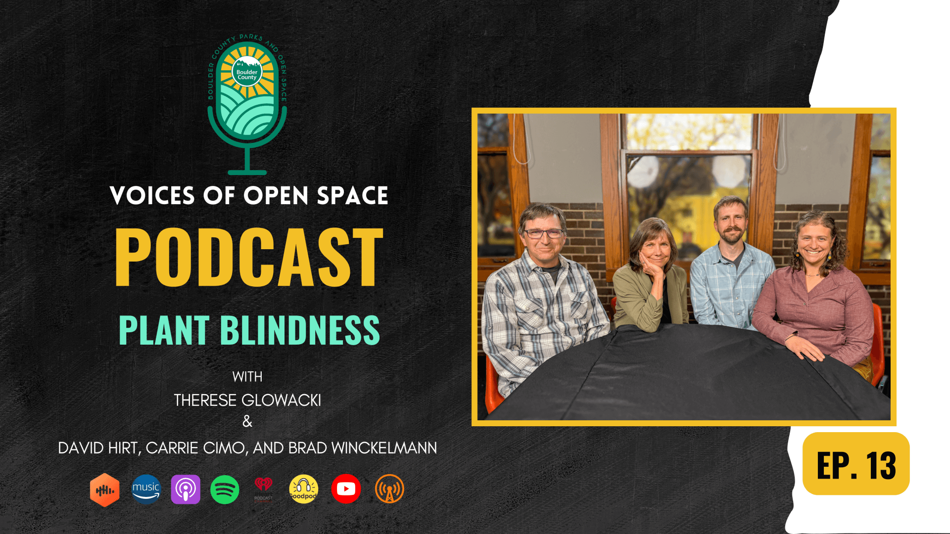 Cover image of episode 13 with a group photo of David, Therese, Brad, and Carrie.