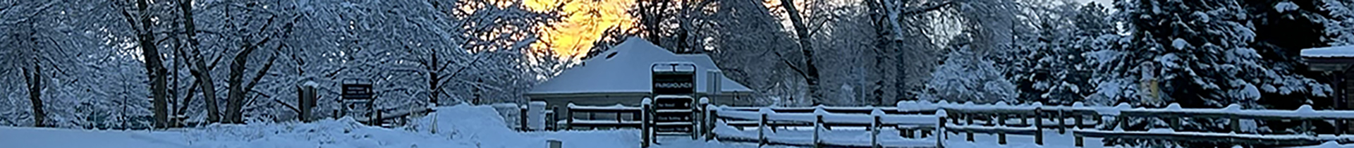 farmhouse with snow on the roof, on the ground and on the trees