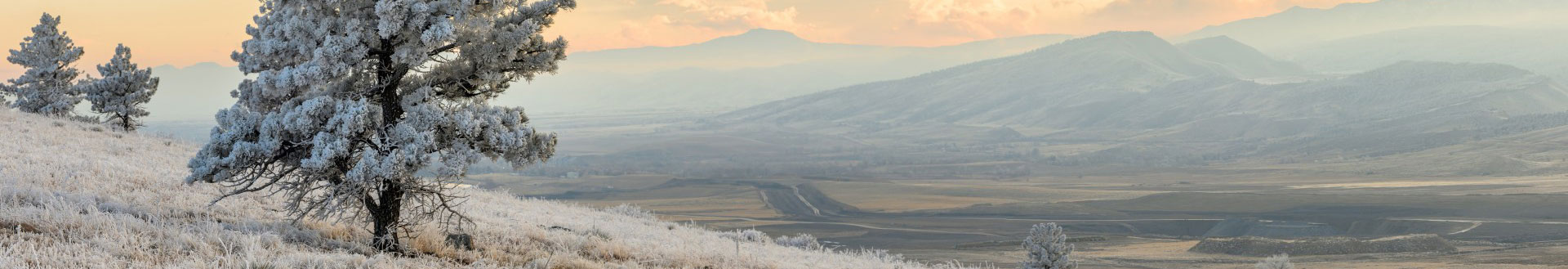 Winter frosted trees with a road and mountains in the background.