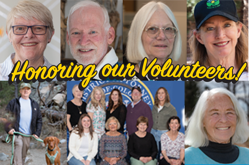 Headshots of the 2026 Volunteer Week recipients. Yellow, cursive text says 