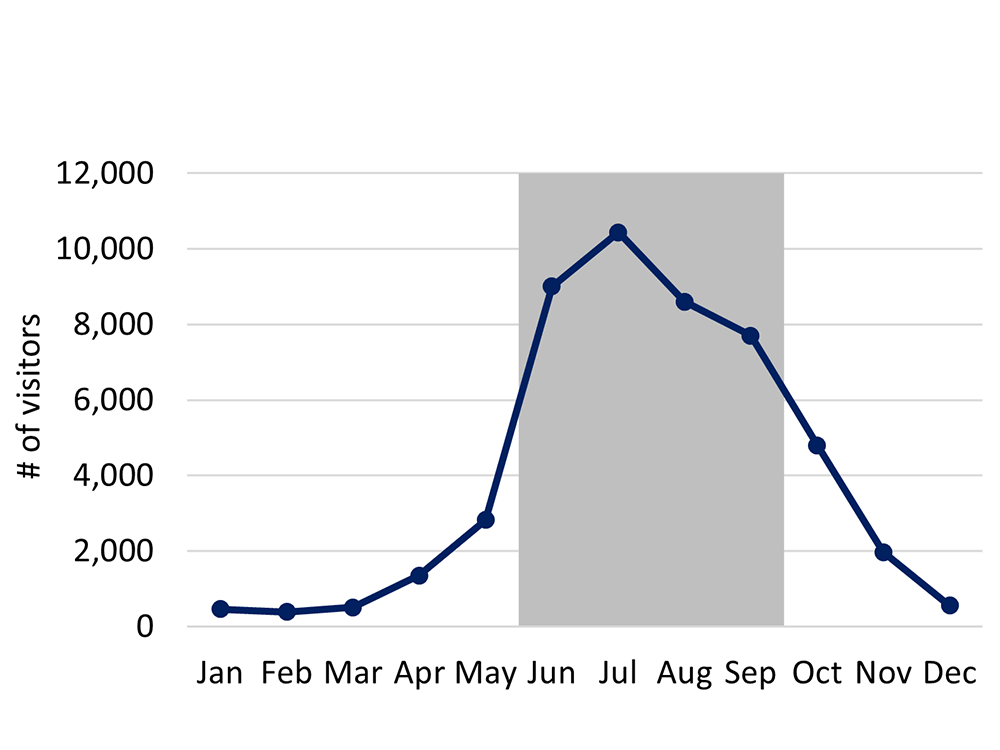 Line graph showing visitation by month. June and July were the busiest months.