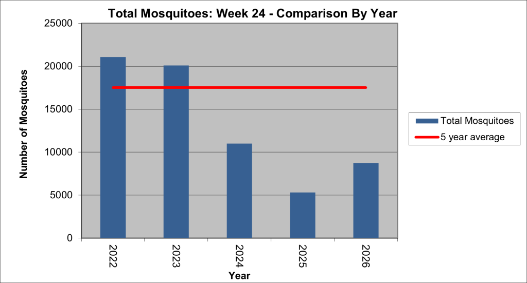 graph showing the total number of mosquitoes trapped in Boulder County for week 24. The current total is about half of the five-year average