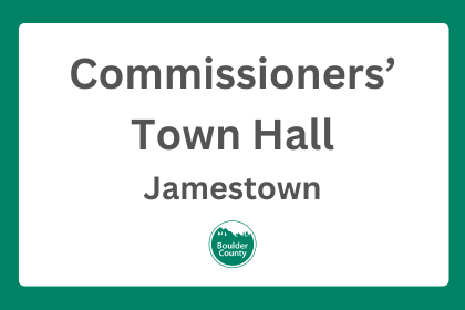 Commissioners' town hall. Jamestown.