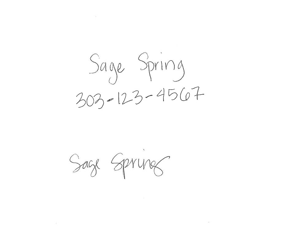 Sample voter name, phone number, and signature. Text reads: Sage Spring 303-123-4567.