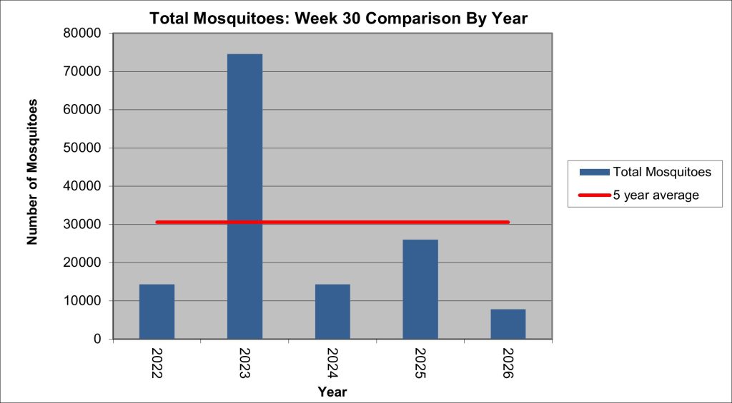 Graph showing the total number of mosquitoes found for Week 30. The number is less than a third of the five year average for this year.